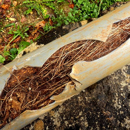 Same Day Drain Sewer & Rooter Pros Across North Conway